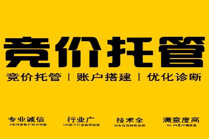案例分析：百度推广代运营公司在行业中的应用与成效